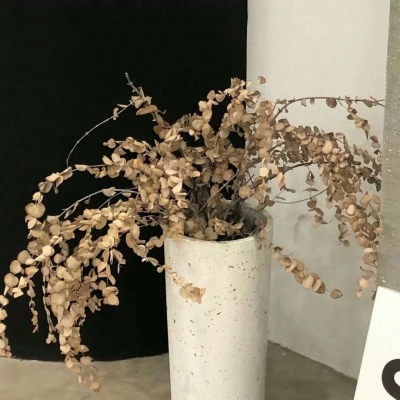 中方FurryQQ群介绍